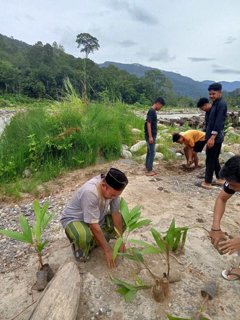 Penanaman Pinang dengan Pemuda Tanjung Lama sebagai penahan tanah dari gerusan singai Mamas